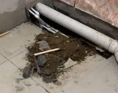 横县卫生间漏水检测哪家好