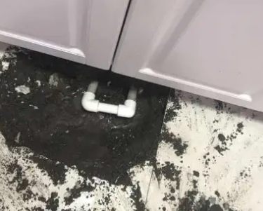 横县查漏水哪家好